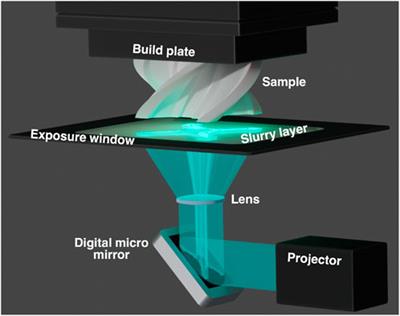 Digital light processing of yttria-stabilized zirconia: Modeling photoinitiator decay